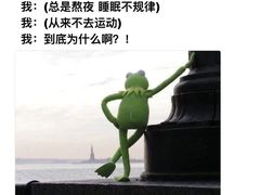 -陈记柳州螺蛳粉(大坪店)