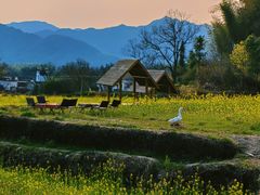 -塔川景区