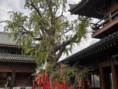 -昭山风景名胜区