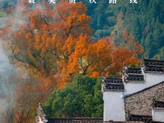 -婺源风景区