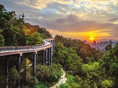 -金鸡山公园