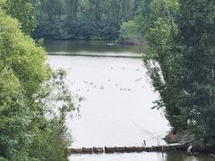 -翠湖国家城市湿地公园