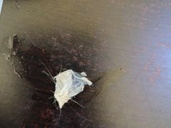 -莫老爷·正宗桂林米粉(南油店)