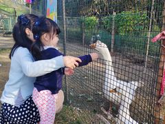 -前小桔亲子创意农场·草莓采摘·露营烧烤