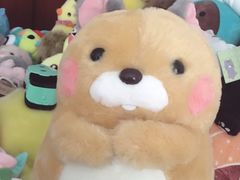 -PAWTOY爪e玩偶店(天兴罗斯福店)