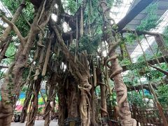 -沈阳龙润夏宫温泉水乐园