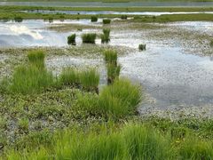-花湖生态旅游区