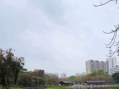 -映月湖公园
