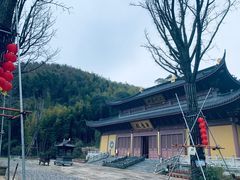 -东明山森林公园