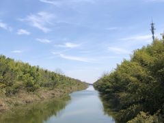 -黄海国家森林公园