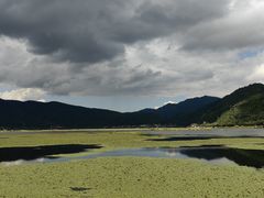 -腾冲北海湿地