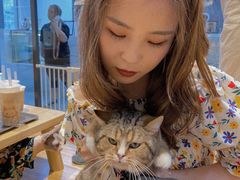 -啵啵喵·猫咖(攀华国际店)