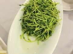 清炒豆苗-全聚德(上海首店浦东店)