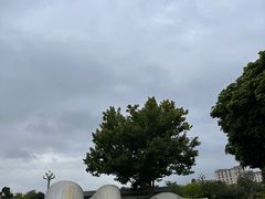 -宝安西湾红树林湿地公园