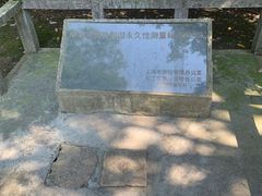 -上海佘山国家森林公园天马山园