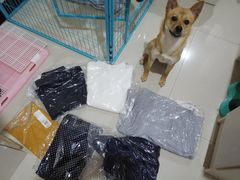 -优衣库(温州财富购物中心店)