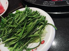 -一斗火锅·招财羊毛肚(泰吉滨江店)