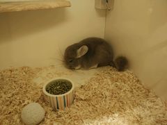 -龙猫仔乐园(惠福东路店)