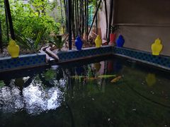 -马洛雷勒花园