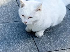 -北京鲁迅博物馆(北京新文化运动纪念馆鲁博馆区)