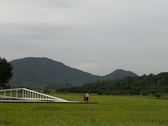 -艾米稻香小镇