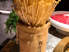 -麻路成都火锅(柏威年店)
