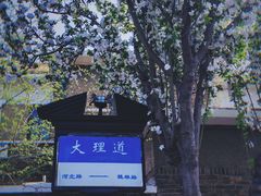 -天津五大道文化旅游区