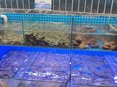 -海韵之星邮轮水会(明发商业广场店)