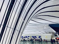 -LV路易威登(大兴国际机场店)