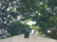 -福田红树林生态公园