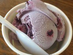 -哈根达斯(扬州瘦西湖店)