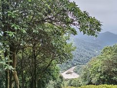 -梧桐山风景名胜区