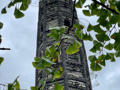 -上海佘山国家森林公园天马山园