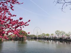 -无锡蠡湖国家湿地公园-蠡园