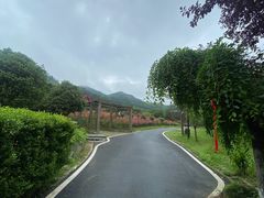 -黄陂区野村谷景区