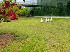 -中关村生命科学园