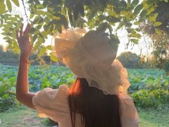 -艾溪湖湿地公园