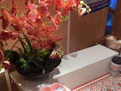 -喃喃椰·糟粕醋椰子鸡火锅(七堡花园店)