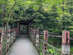 -凤栖山