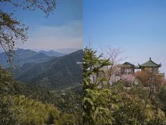 -莫干山风景区