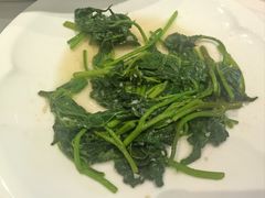 -眉州东坡(北苑华贸店)