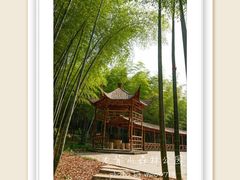 -宜兴龙背山森林公园