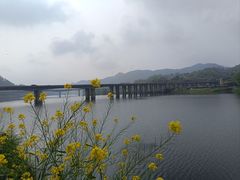 -新安江山水画廊风景区