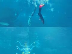 -福州罗源湾海洋世界旅游区