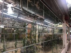 -荔城生鲜盛宴(番禺旗舰店)
