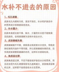 -凡碧诗毛孔清洁收细