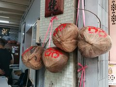景观位-洪馨椰子