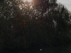-洛阳市隋唐城遗址植物园