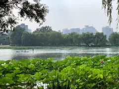 -WhaleSports户外水上运动俱乐部(朝阳公园店)