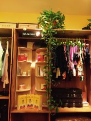 点击看大图 -FineYoga梵音瑜伽·普拉提